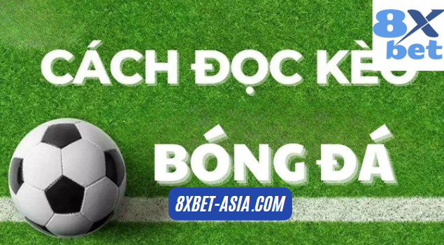 Hướng dẫn cách đọc kèo bóng đá 8xbet dành cho người mới bắt đầu, giúp hiểu rõ các loại kèo và cách tính cược